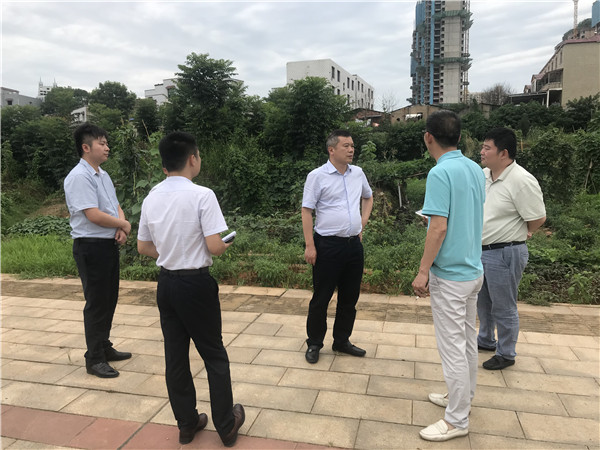 7月6日。黃勁松深入板塘片區(qū)重點(diǎn)項(xiàng)目調(diào)研.jpg