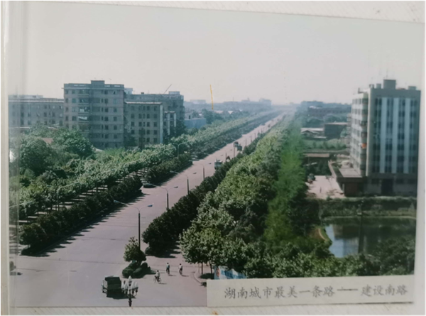 1982年修建的建設南路，曾被評為“湖南城市最美一條路”.png